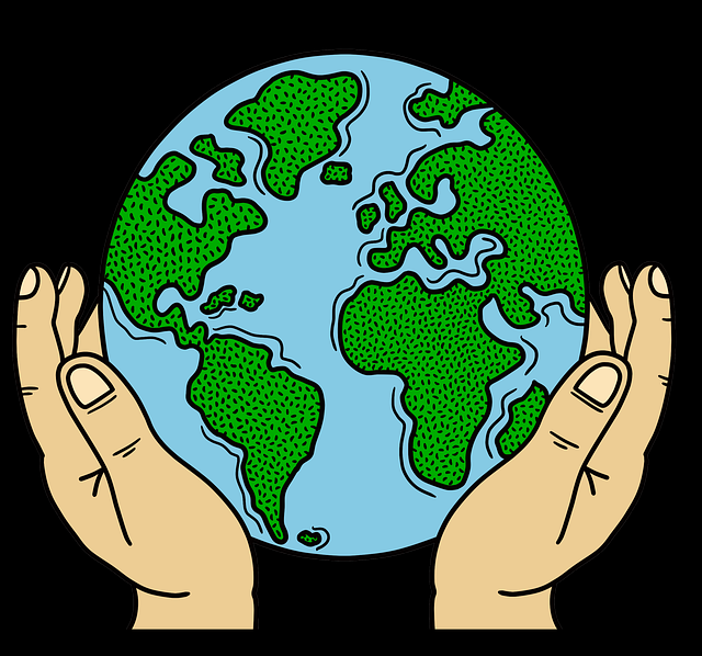 内幕揭晓：每日大赛黑料全过程公开