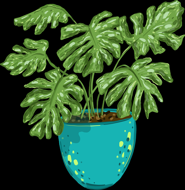 真实记录：每日大赛吃瓜再次引爆热搜