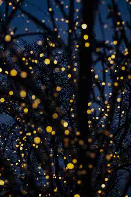 每日大赛51趋势观察今日热点73招神级操作