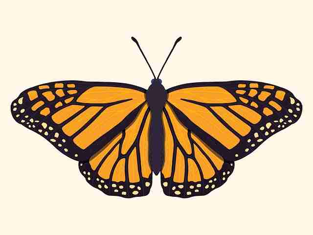 麻豆独家爆料:攻略征集策略深挖