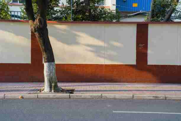 新手向每日大赛在线观看——双语解说震撼来袭