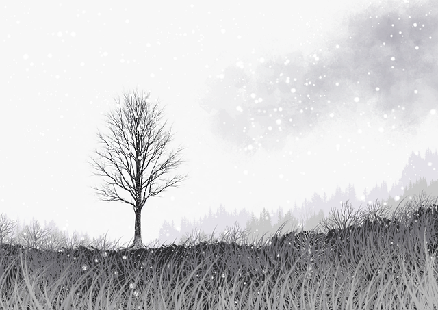 每日大赛在线观看焦点速递：选手专访看点合集